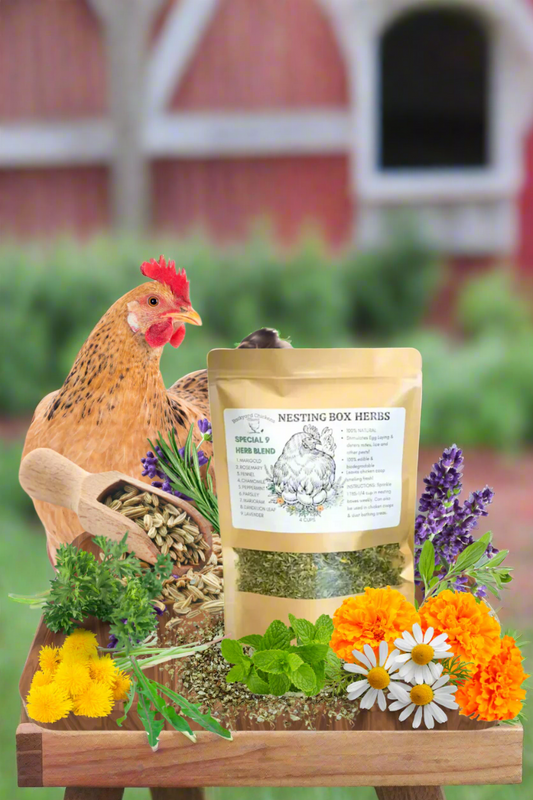 Unlock the Secret Benefits of Our Nesting Box Herbs 🌿