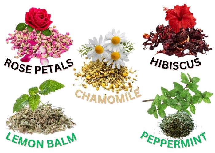 Cooling Herbs for Chickens Backyard Chickens Mama