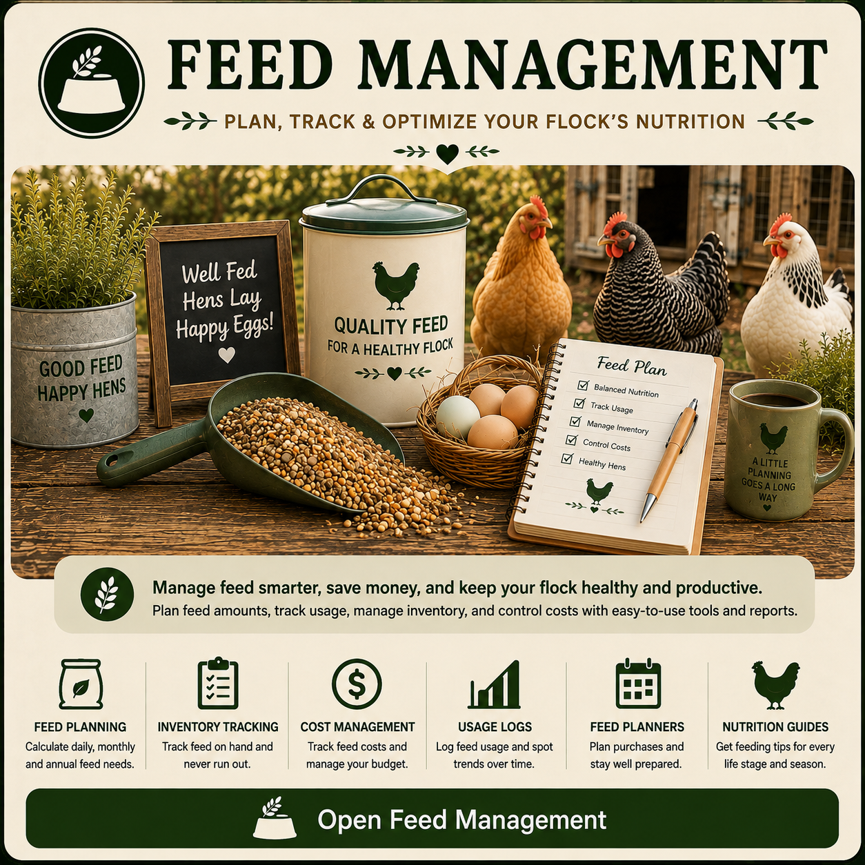Backyard Chickens Mama Chicken Toolkit